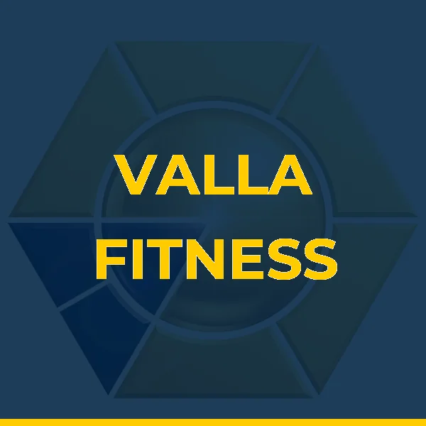 Logo de VALLA FITNESS ACADEMIA SAO LUIZ LTDA