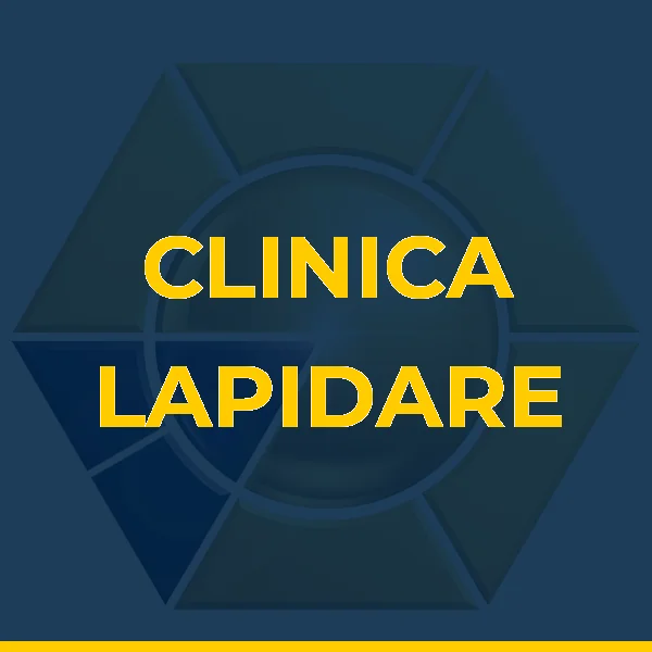Logo de CLINICA LAPIDARE FISIOTERAPIA E PILATES LTDA