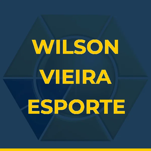 Logo de W. VIEIRA A. JUNIOR
