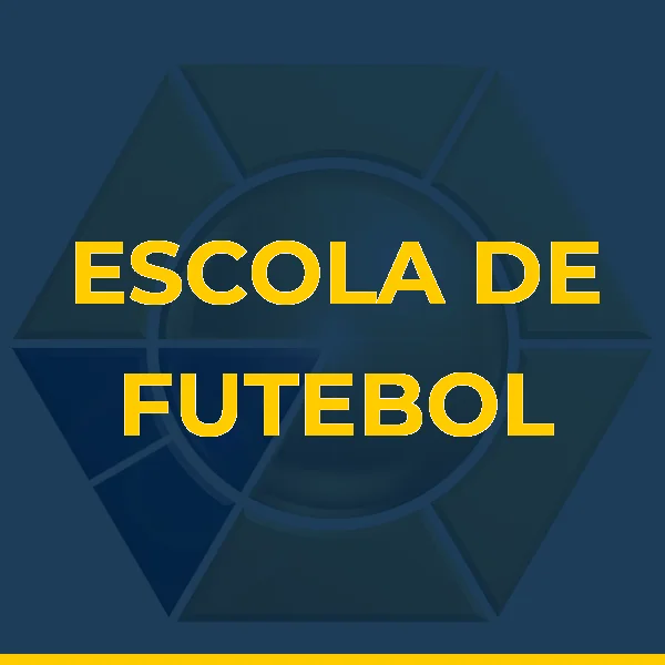 ESCOLA DE FUTEBOL REAL PARK LTDA