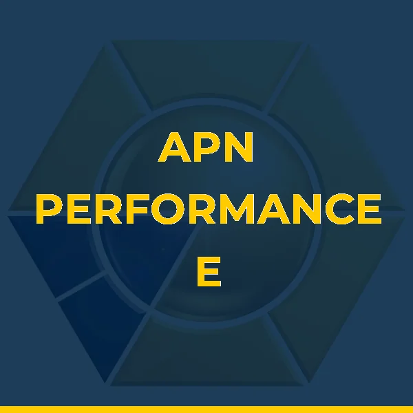 Logo de APN PERFORMANCE E FITNESS LTDA