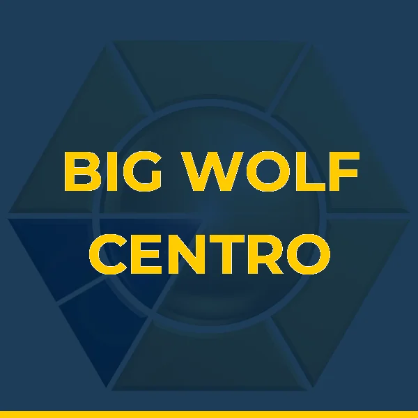 Logo de MG CENTRO DE TREINAMENTO LTDA
