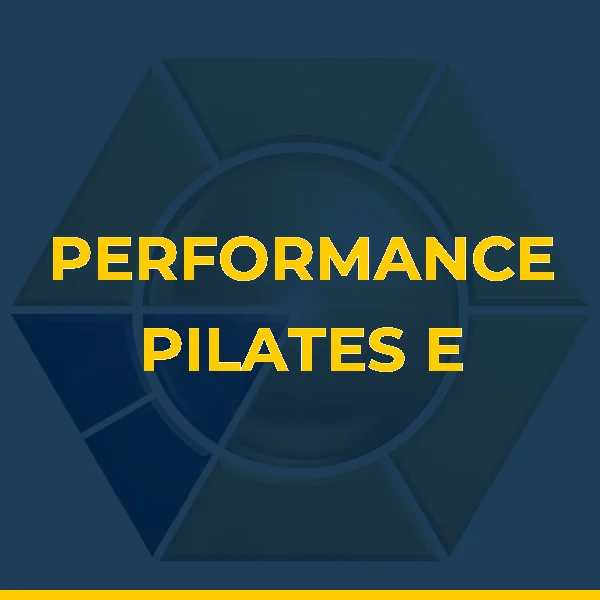 Logo de PERFORMANCE PILATES E FUNCIONAL LTDA