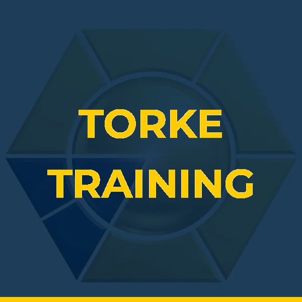 Logo de TORKE TRAINING LTDA