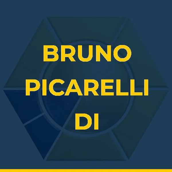 Logo de BRUNO PICARELLI DI FIORE LTDA