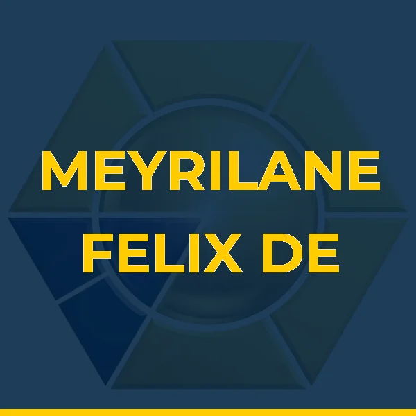 Logo de MEYRILANE FELIX DE OLIVEIRA ALMEIDA LTDA
