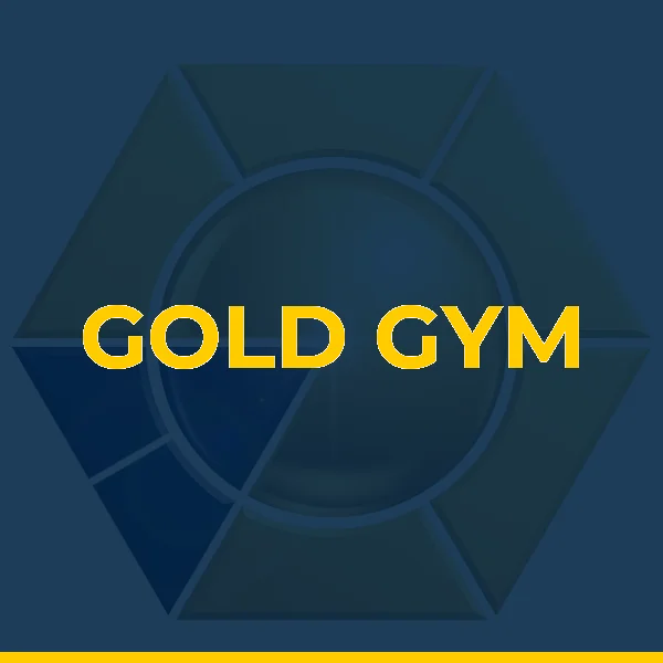 Logo de GOLD FITNESS BRASIL LTDA