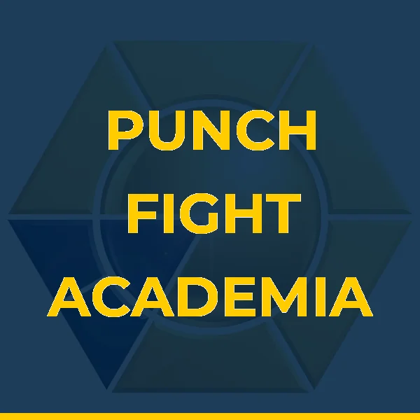 Logo de PUNCH FIGHT ACADEMIA LTDA