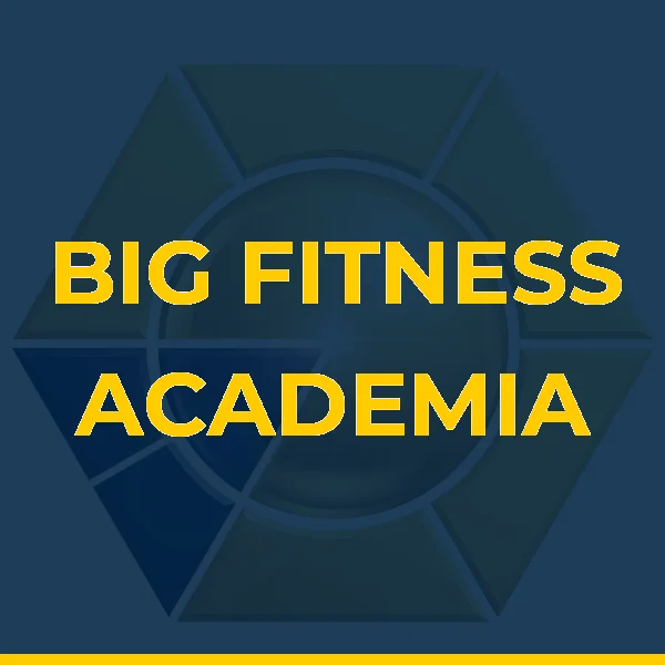 Logo de BIG FITNESS ACADEMIA LTDA