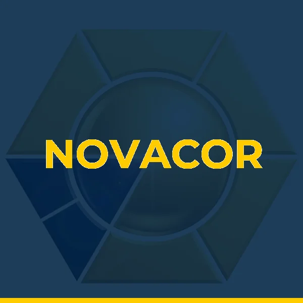 Logo de NOVACOR PINTURAS E DECORACOES LTDA