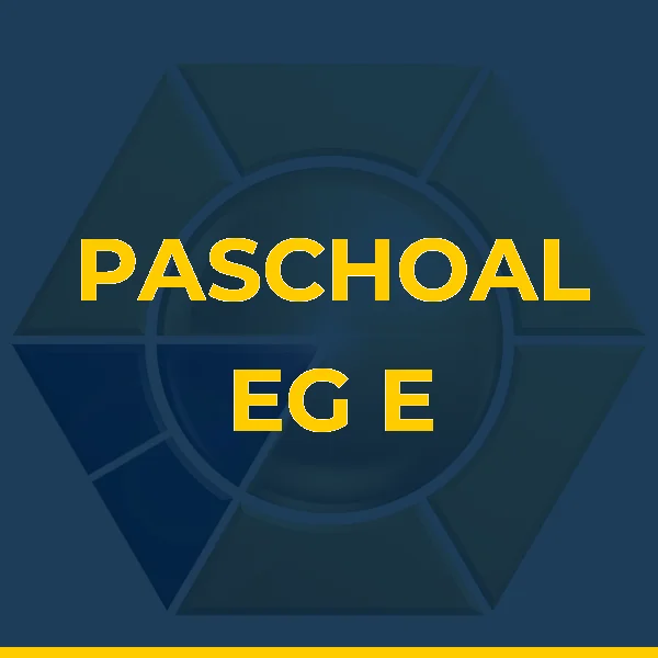 PASCHOAL EG E CONSTRUCOES LTDA