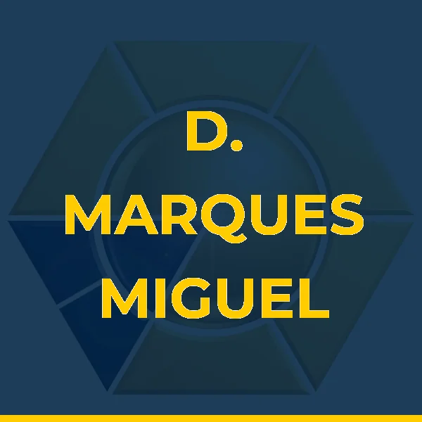 D. MARQUES MIGUEL DA SILVA LTDA