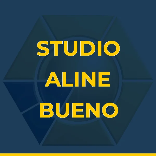 Logo de STUDIO ALINE BUENO LTDA