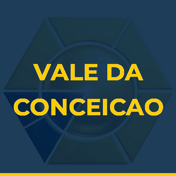 Logo de VALE DA CONCEICAO COMERCIO LTDA