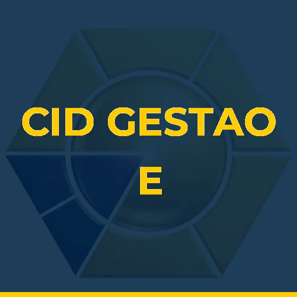 CID GESTAO E PARTICIPACOES