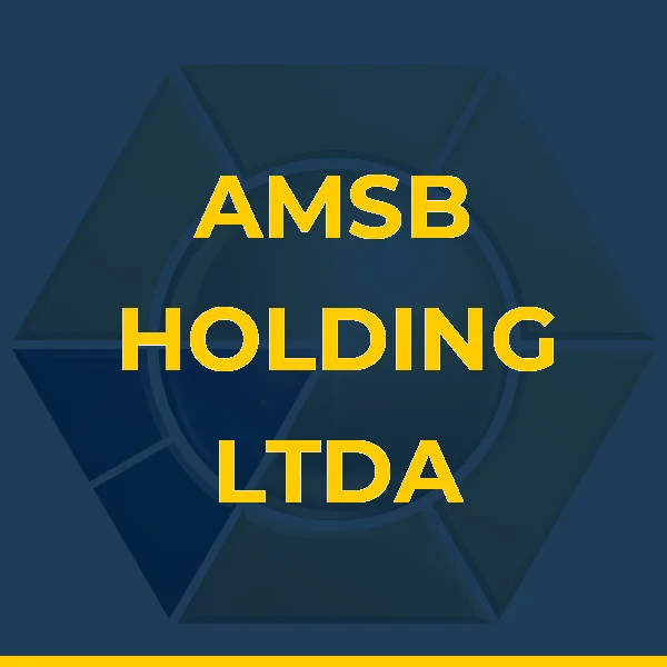 AMSB HOLDING LTDA