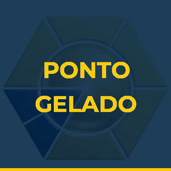 Logo de PONTO GELADO LTDA