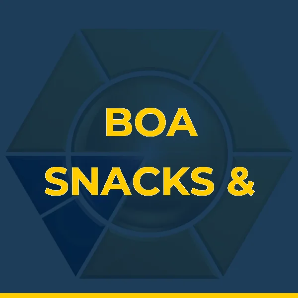 Logo de BOA SNACKS & DESSERTS LTDA