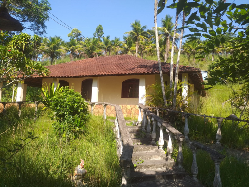 Sítio à Venda, Pereira Corretor, Imóveis à venda