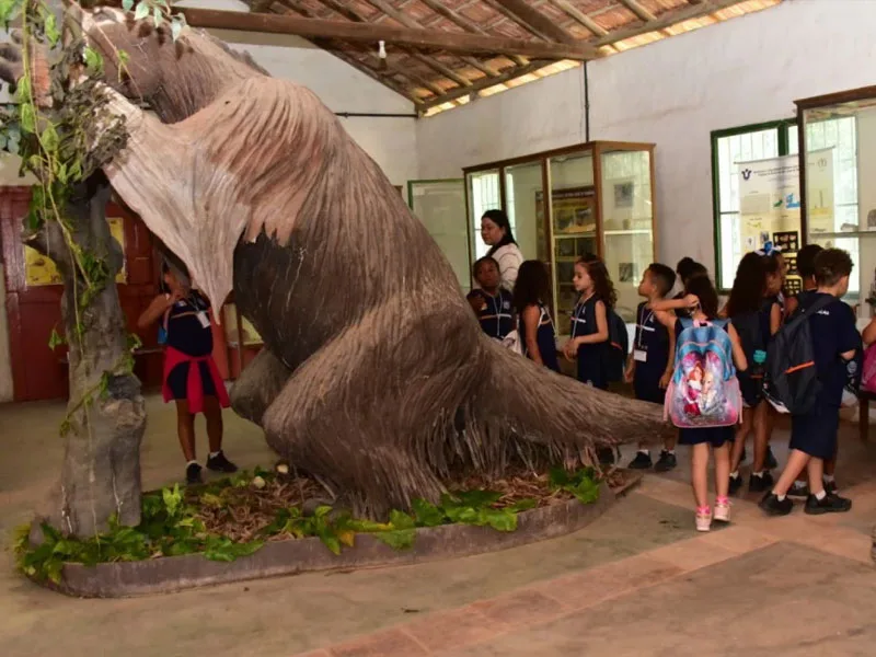 ITABORAÍ: Cidade de Relevância Paleontológica Estadual