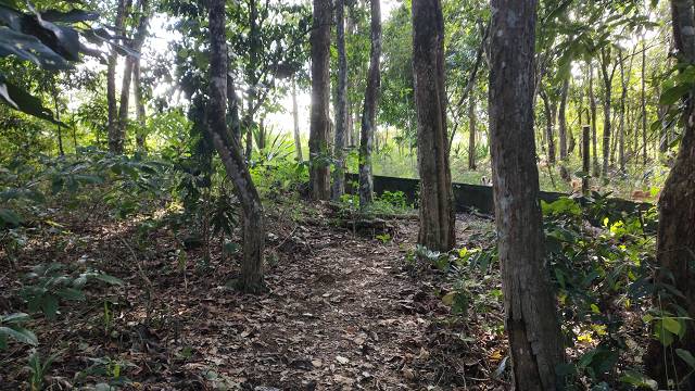 Chácara com 2 Quartos à venda em Agro Brasil - Cachoeiras de Macacu - Cod.S015