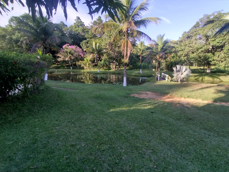 Imóvel, Pereira Corretor, Sítio à venda