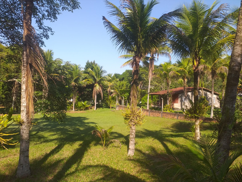 Sítio à venda, Pereira Corretor, Imóvel à venda